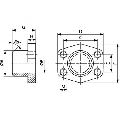 GFS ST M (3000 / 6000 PSI)