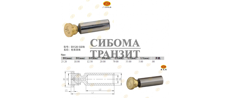 Поршень с башмаком 20×79