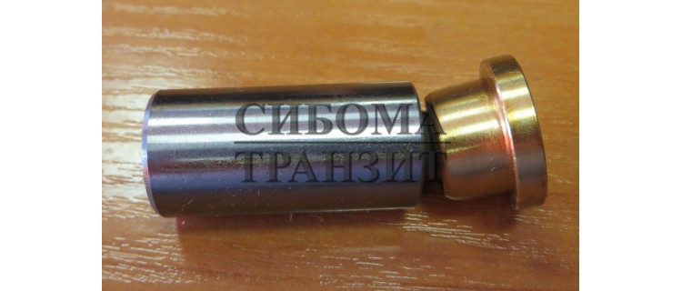 Поршень с башмаком 19.5x55.4