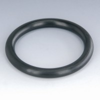 SAEO-RING21/2