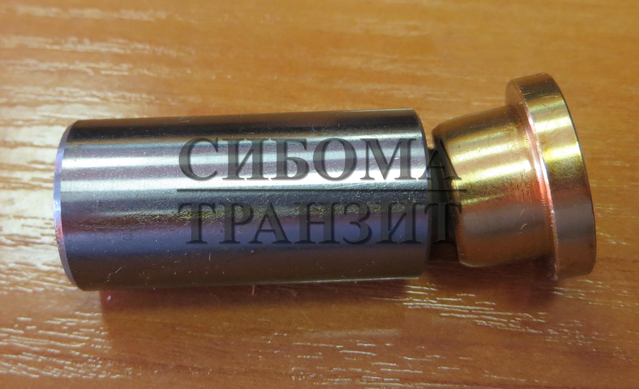 Поршень с башмаком 19.5x55.4